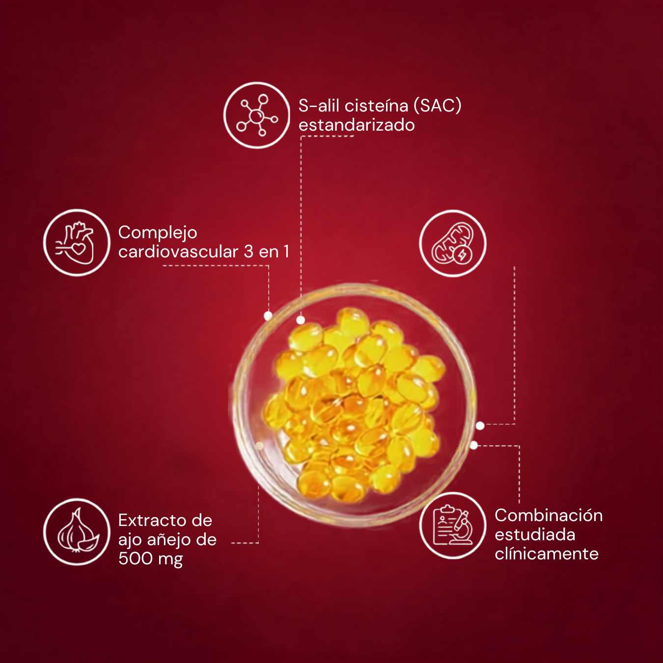 Cápsulas blandas de ajo añejo sin olor - Favorece la vitalidad cardiovascular
