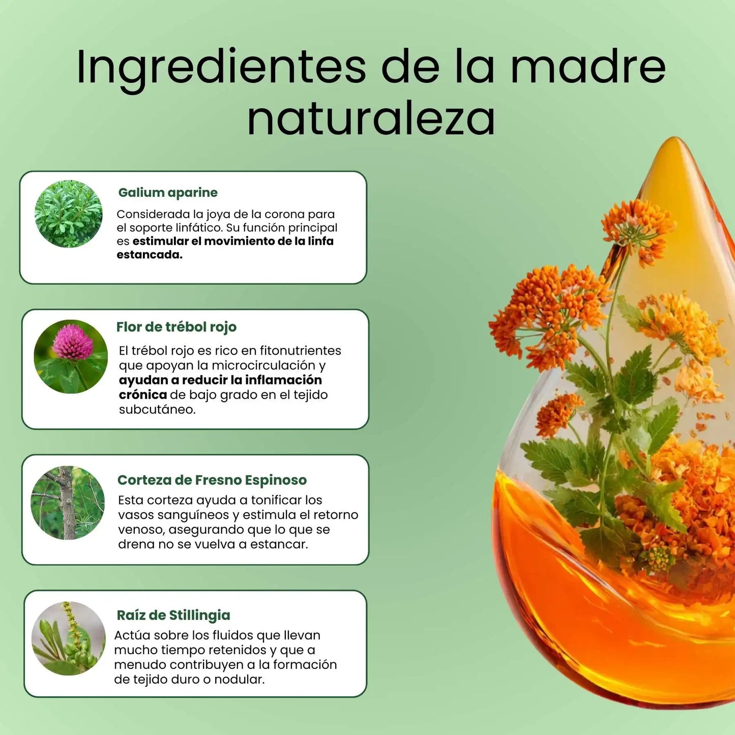 Gotas Lymphatic drainage | bienestar para el drenaje linfático