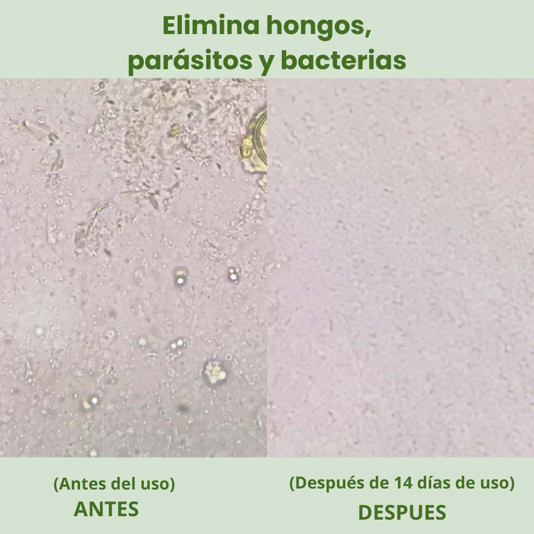 Aceite de orégano medicinal