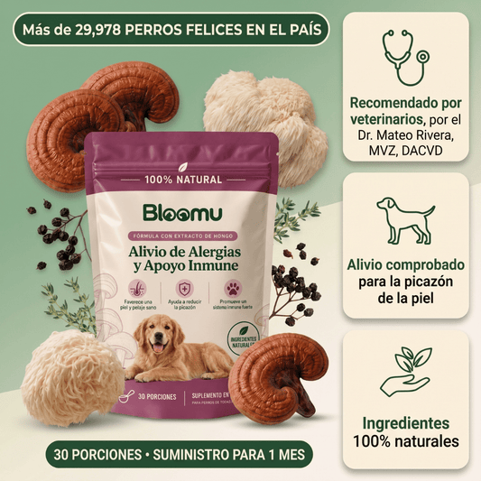 BloomuPet - Apoyo diario para perros