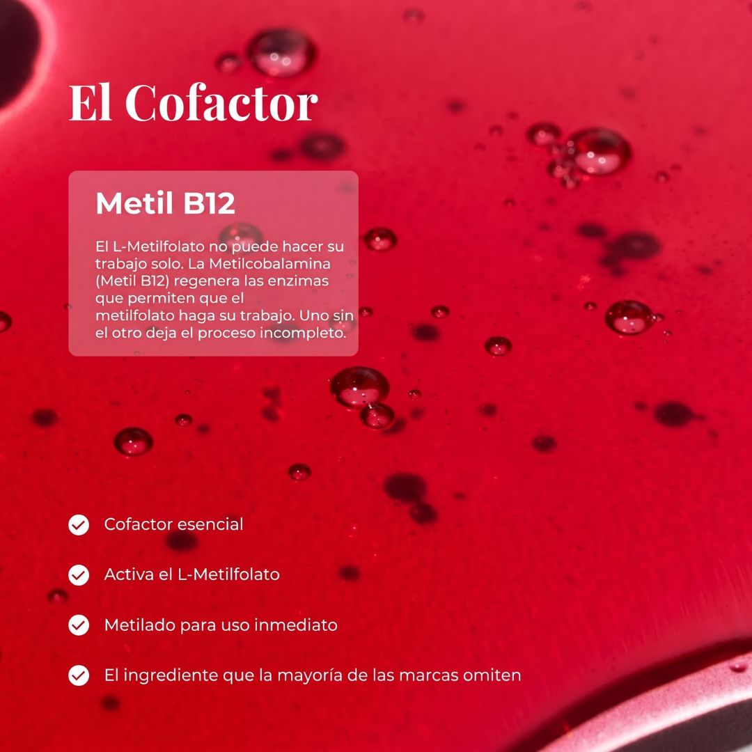 Bloomentalº - Folato activo + Vitamina B12 II