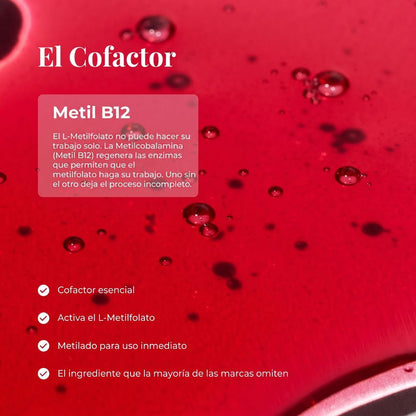 Bloomentalº - Folato activo + Vitamina B12 II
