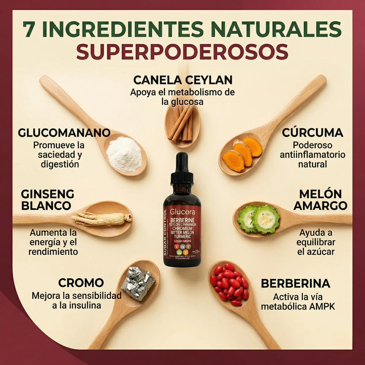 Glucora™ Apoyo Natural para el Azúcar en sangre, Energía y Antojos