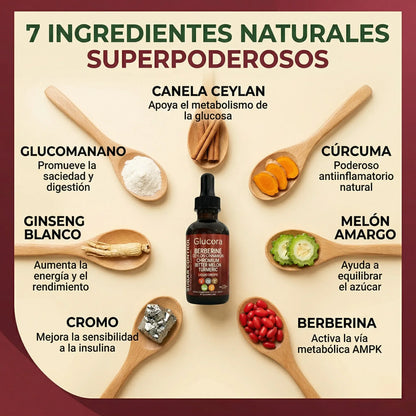 Glucora™ Apoyo Natural para el Azúcar en sangre, Energía y Antojos