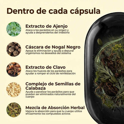Suplemento de ajenjo, nogal negro y clavos de olor