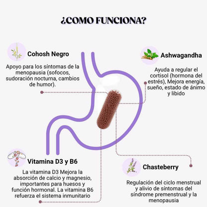 Multivitamínico para la menopausia MENO™
